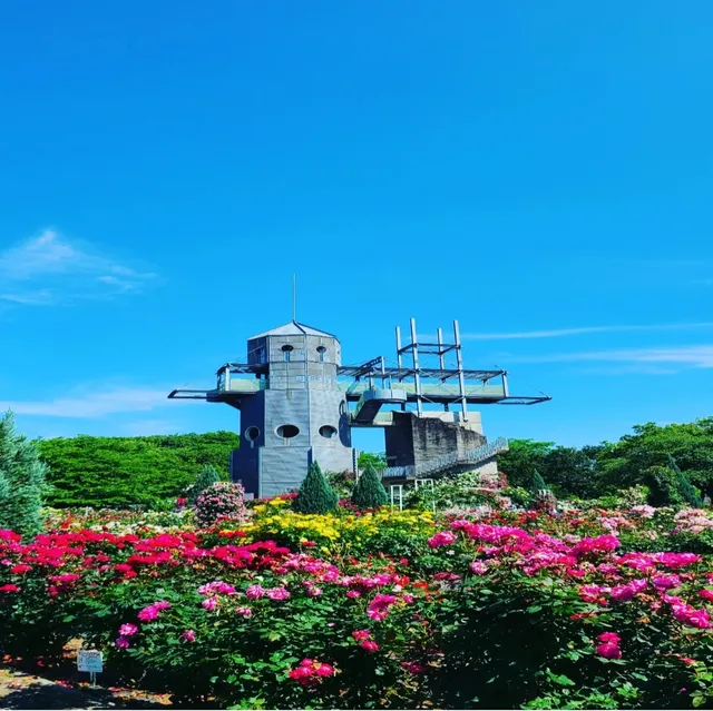 Country Park Rose Garden