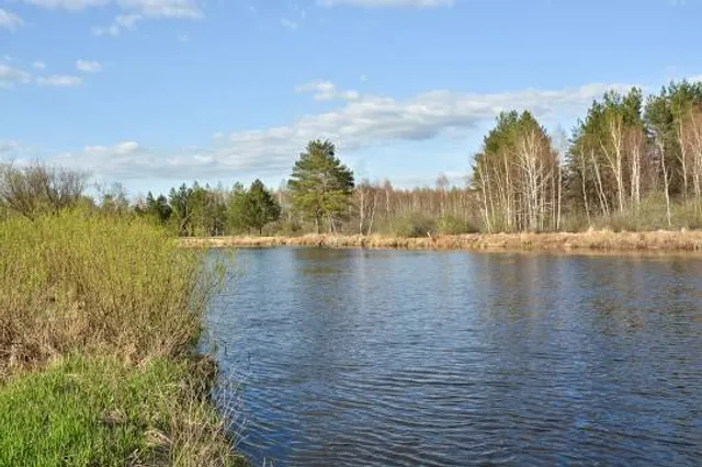 Milliken District Park