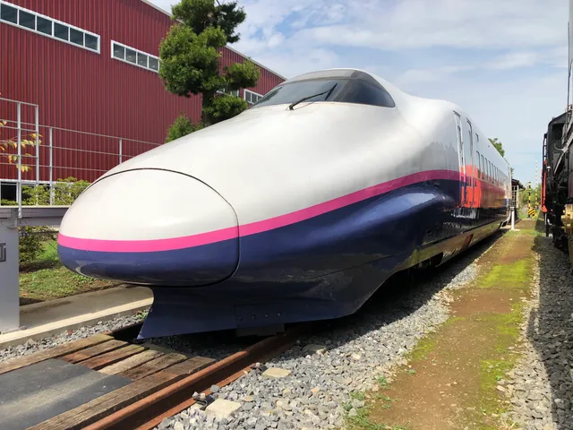 ザ・ヒロサワ・シティ