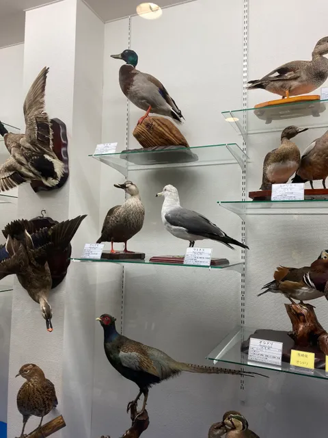 Yoshimura Wildbird Nature Museum