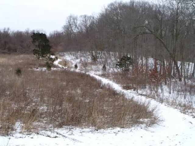 Avalon Nature Preserve