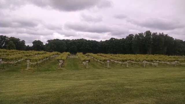 Weston Farm Vineyard & Winery