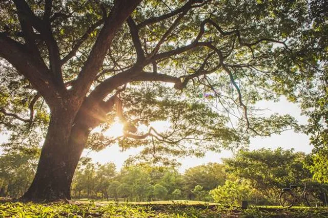 Ecological Park and Cultural Teacher Marcos Mazzoni
