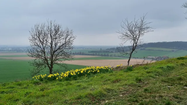 Gallbergstieg, Hildeshelm