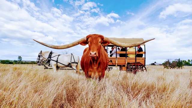 Charters Towers Regional