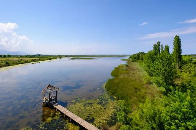 Kune-Vain-Tale Reserve