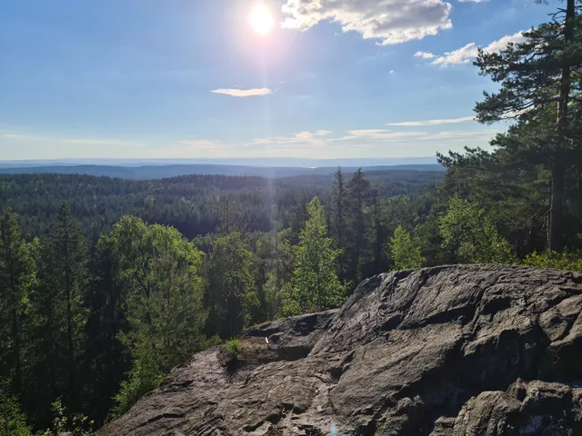 Østmarka nasjonalpark