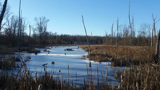 Fannie Stebbins Memorial Wildlife Refuge