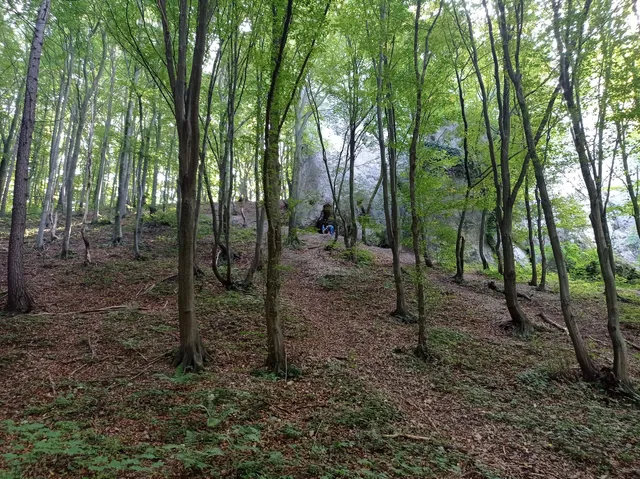 Wielka Wronia Baszta