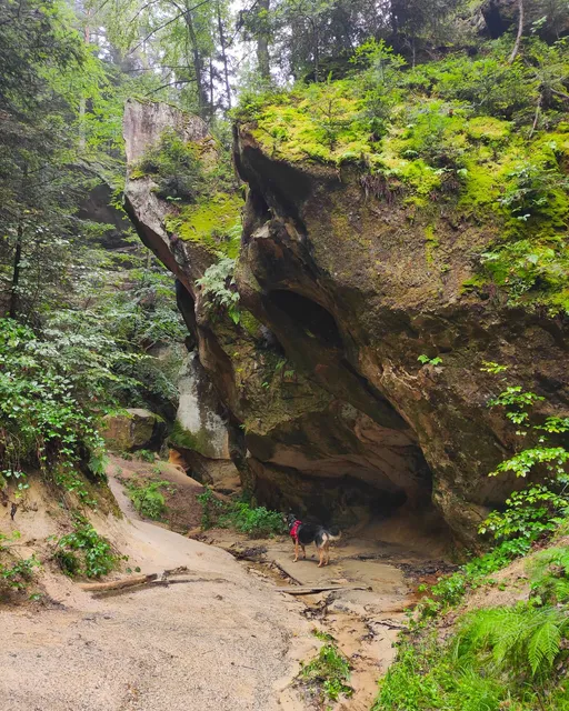 Pomnik Przyrody Nieożywionej "Wodospad"