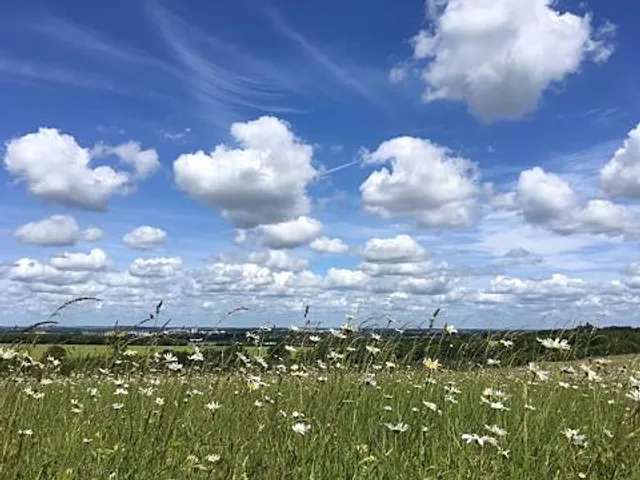 Gog Magog Hills