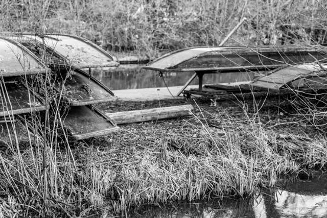 The Ridge Nature Preserve