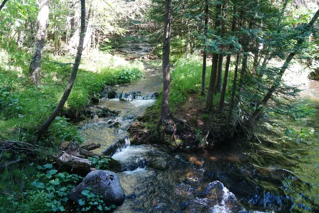 Seven Bridges Nature Area