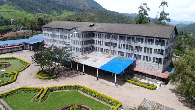 Lockhart Tea Factory