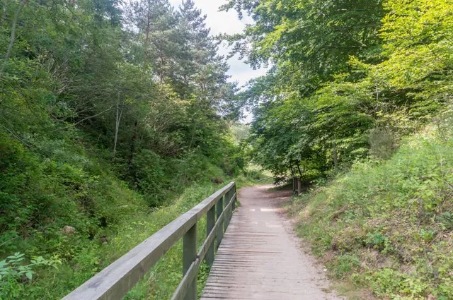 Gorge Nature Reserve Chłapowski