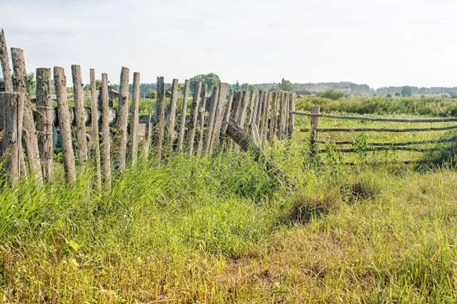 Grafheuvels - Regte Heide
