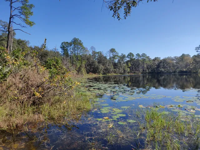 Dunns Creek State Park Blue Pond Entrance