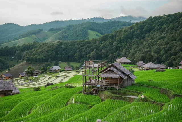 บ้านลอแอะ ป่าบงเปียง