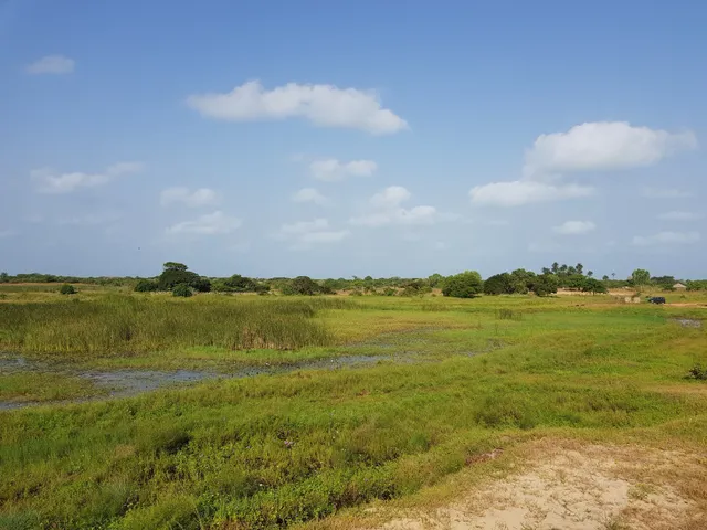 Kartong Bird Observatory