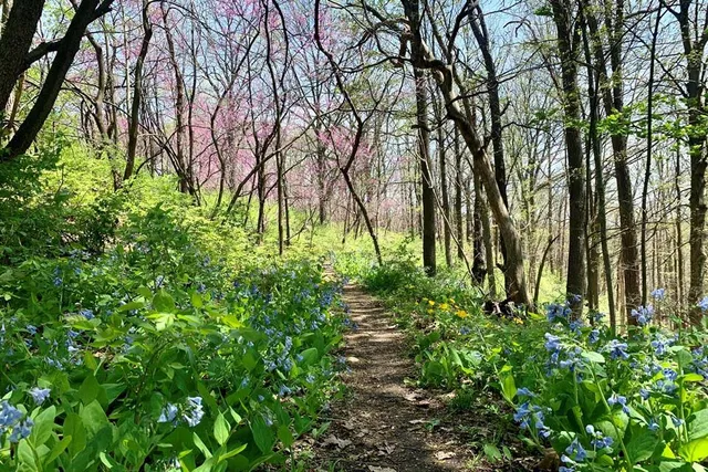 Cedar Bend Nature Area
