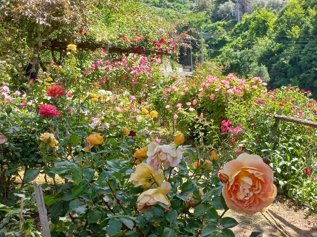 Giardino Segreto dell'Anima