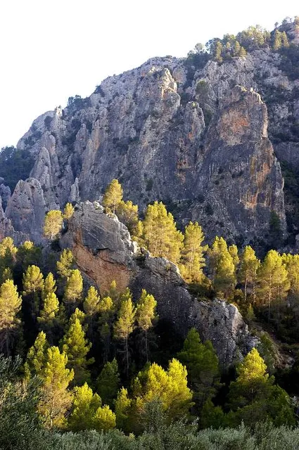 Reserva Natural de las Hoces del Cabriel