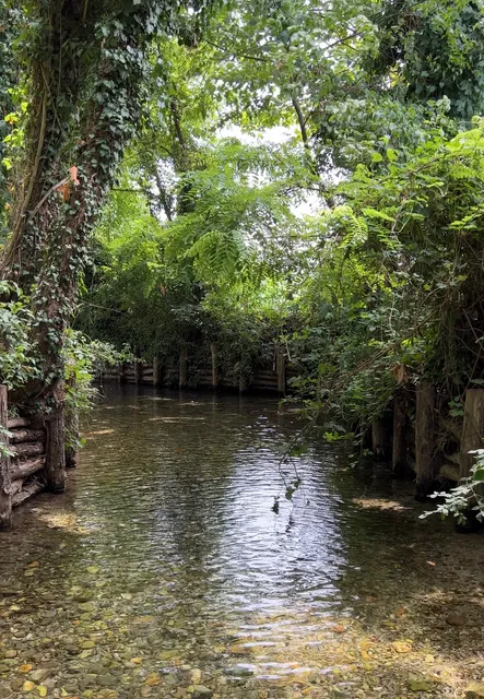 Fontanile Quarantina