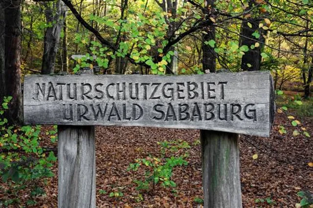 Sleeping Beauty Castle Sababurg