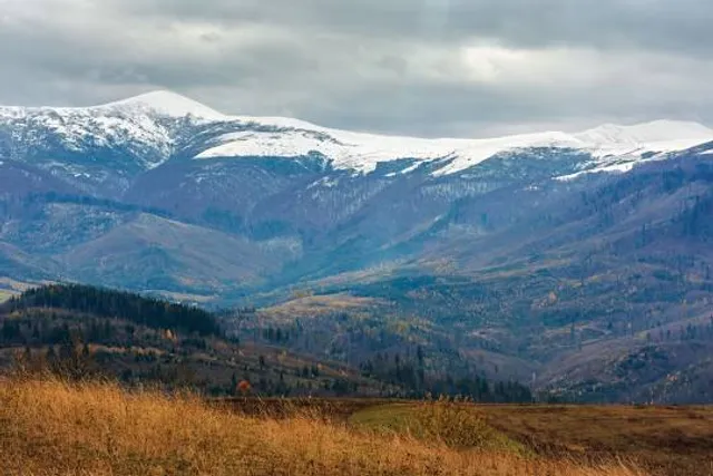 Volovets Settlement Hromada