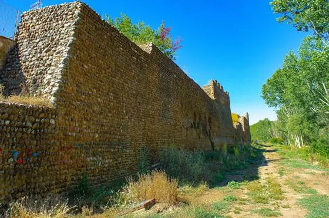 Mansilla de las Mulas