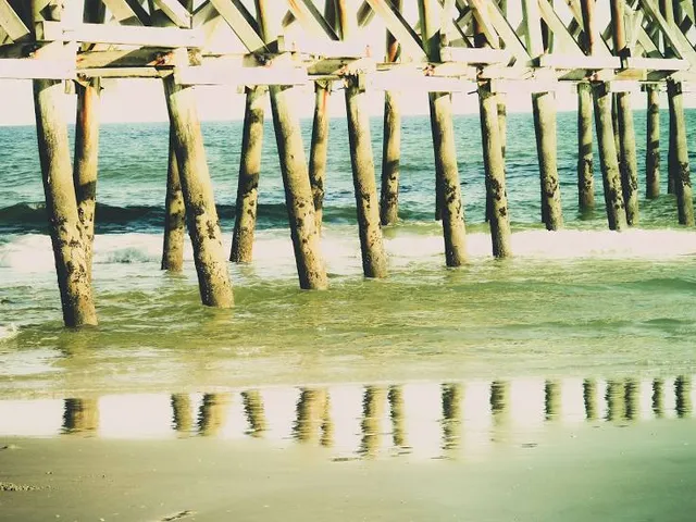Oceanic Fishing Pier