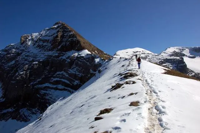 Engelberger Rotstock