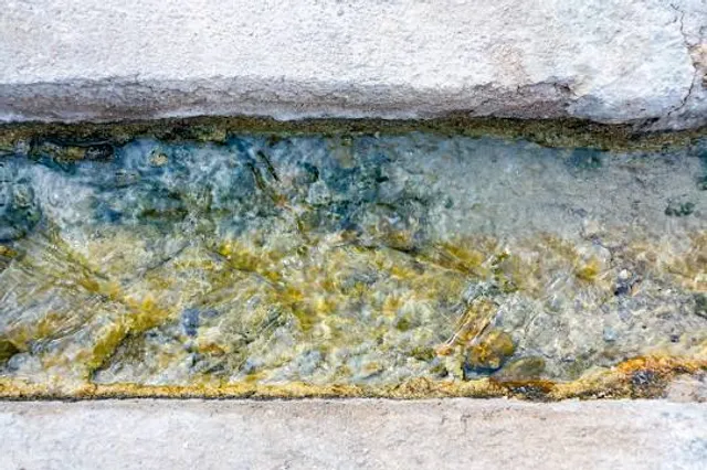 Parkanlage Villa Boveri