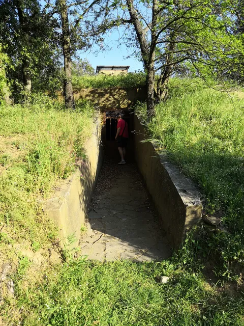 Etruscan necropolis of Prato Rosello