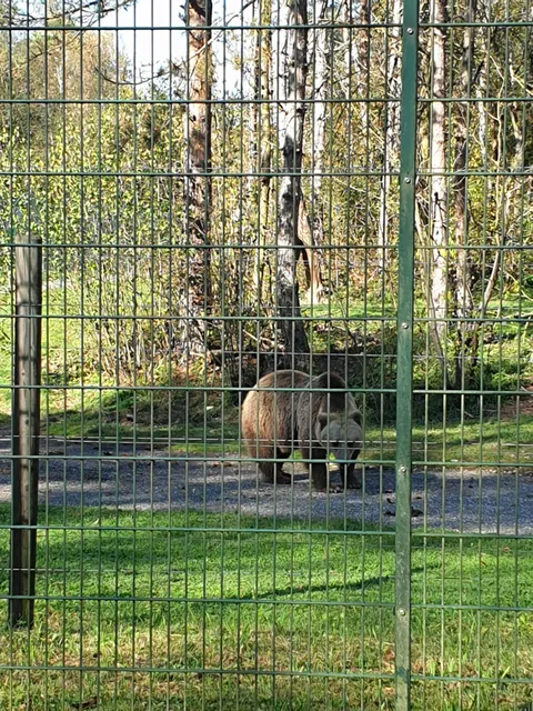 Gnadenhof für Bären