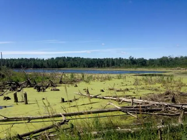 Miquelon Lake Provincial Park