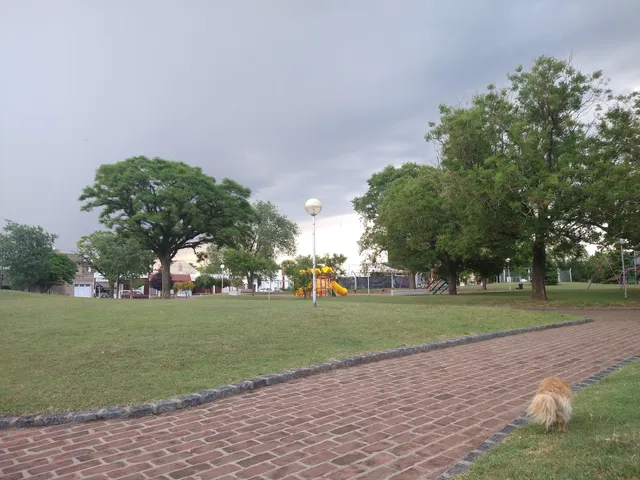 place image