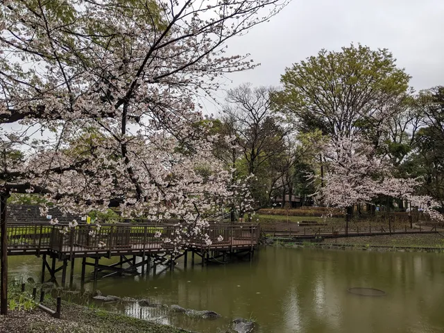 Bunko no Mori Park