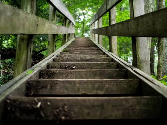 Pine Hills Nature Preserve