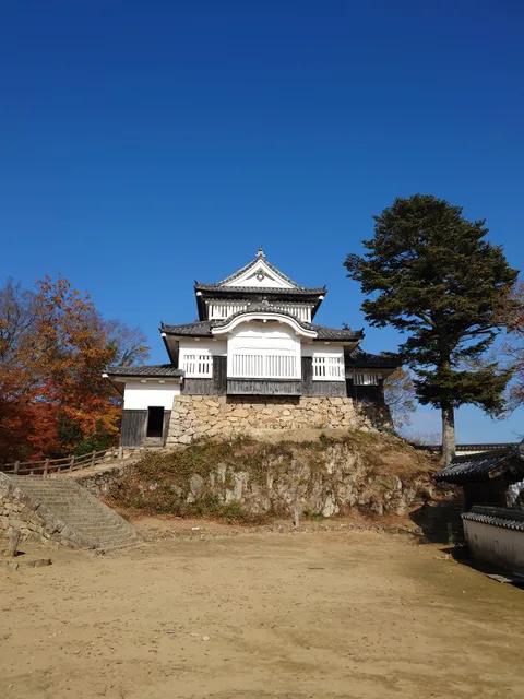 Tenshu (Bitchu Matsuyama Castle)