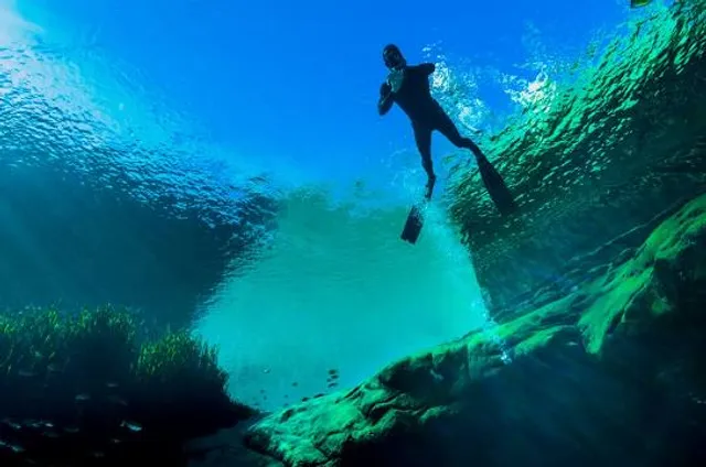 Jackson Blue Springs