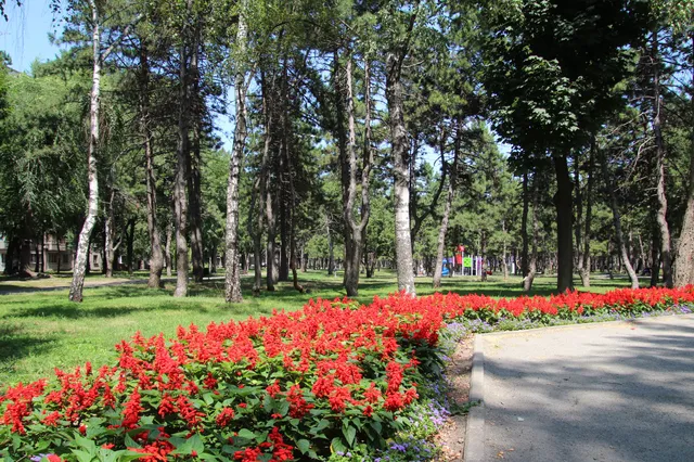 Park Vidpochynku Im. Pysarzhevsʹkoho
