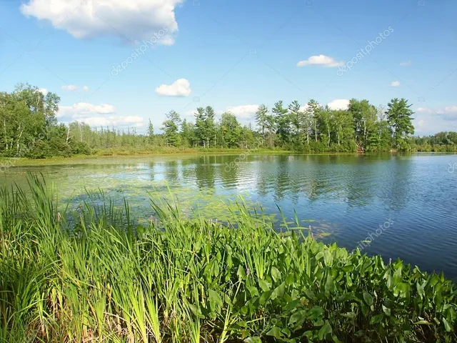 Little Bearskin Lake