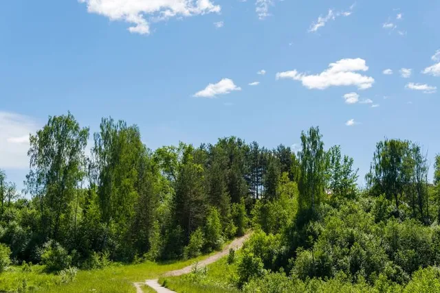 The Holden Arboretum