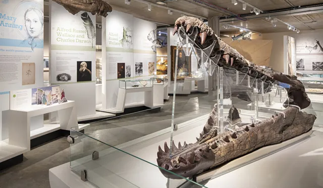 Dorset Museum & Art Gallery