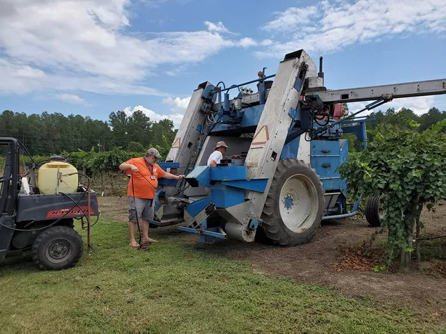 Cartersville Country Winery