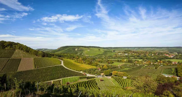 Winery Gerhard Leiss