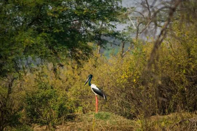 Madhav National Park