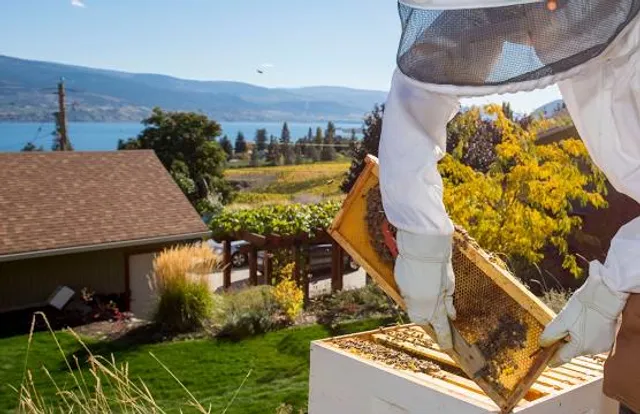 The Bistro at Hillside Winery