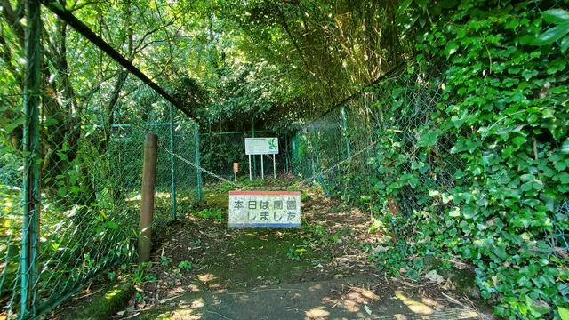photo-1